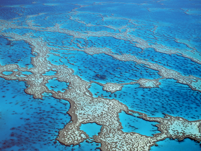 9. gran barrera de coral